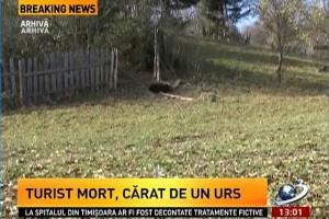 Şocant! Un urs a cărat cadavrul unui turist pe Valea Caraimanului! / VIDEO